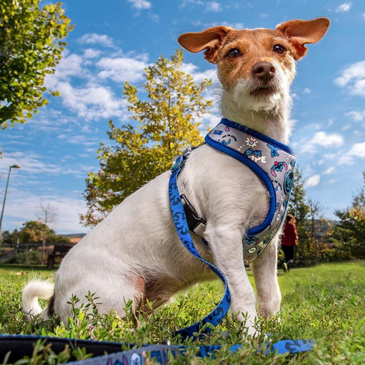 Disney Dog Harness Xxs/Xs Stitch Blue 2800000739