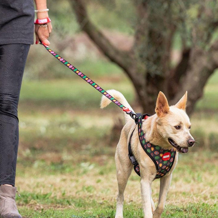Marvel Dog Lead M Red 2800000847
