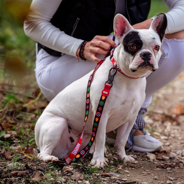 Marvel Dog Lead M Red 2800000847