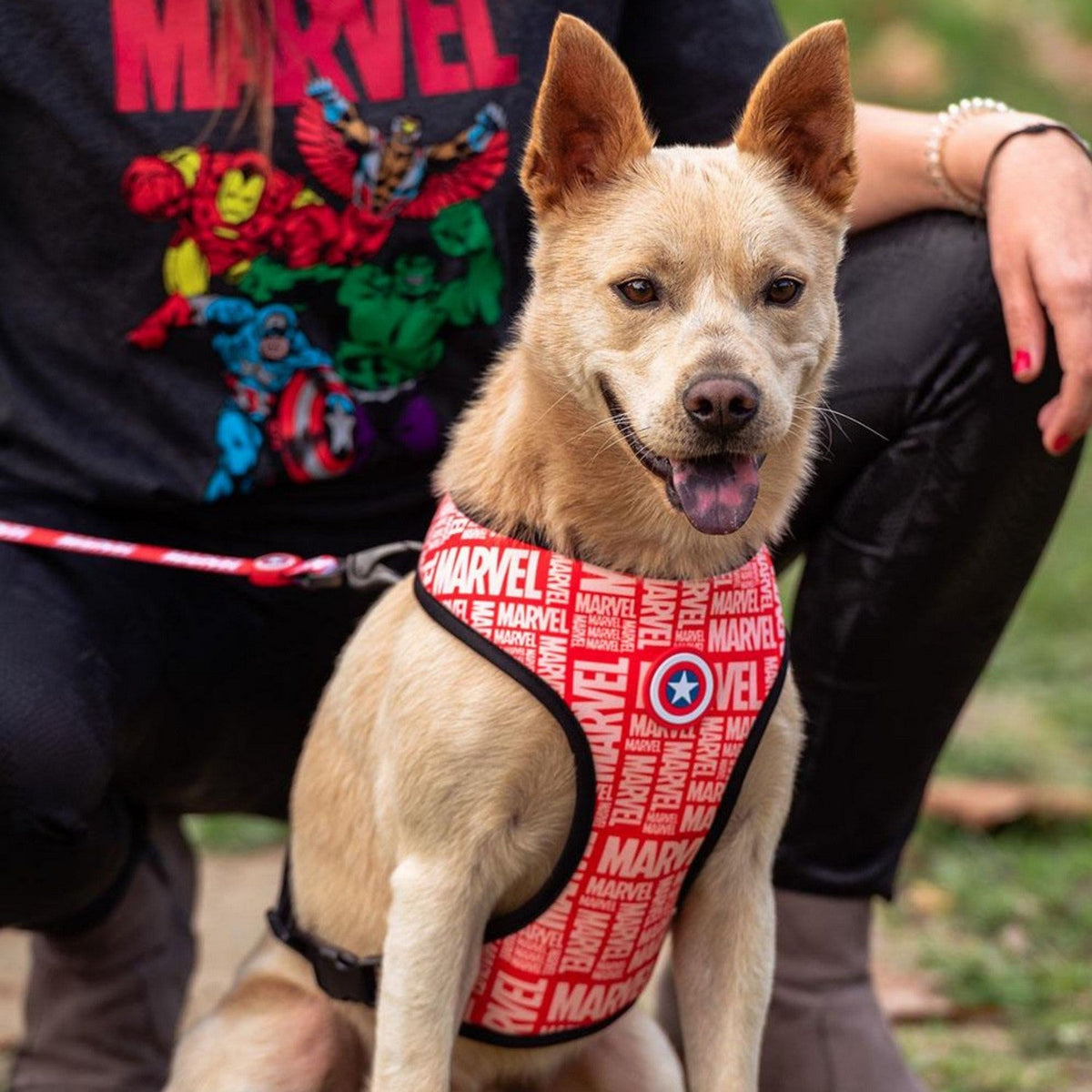 Marvel Dog Harness Xs/S 2800000854