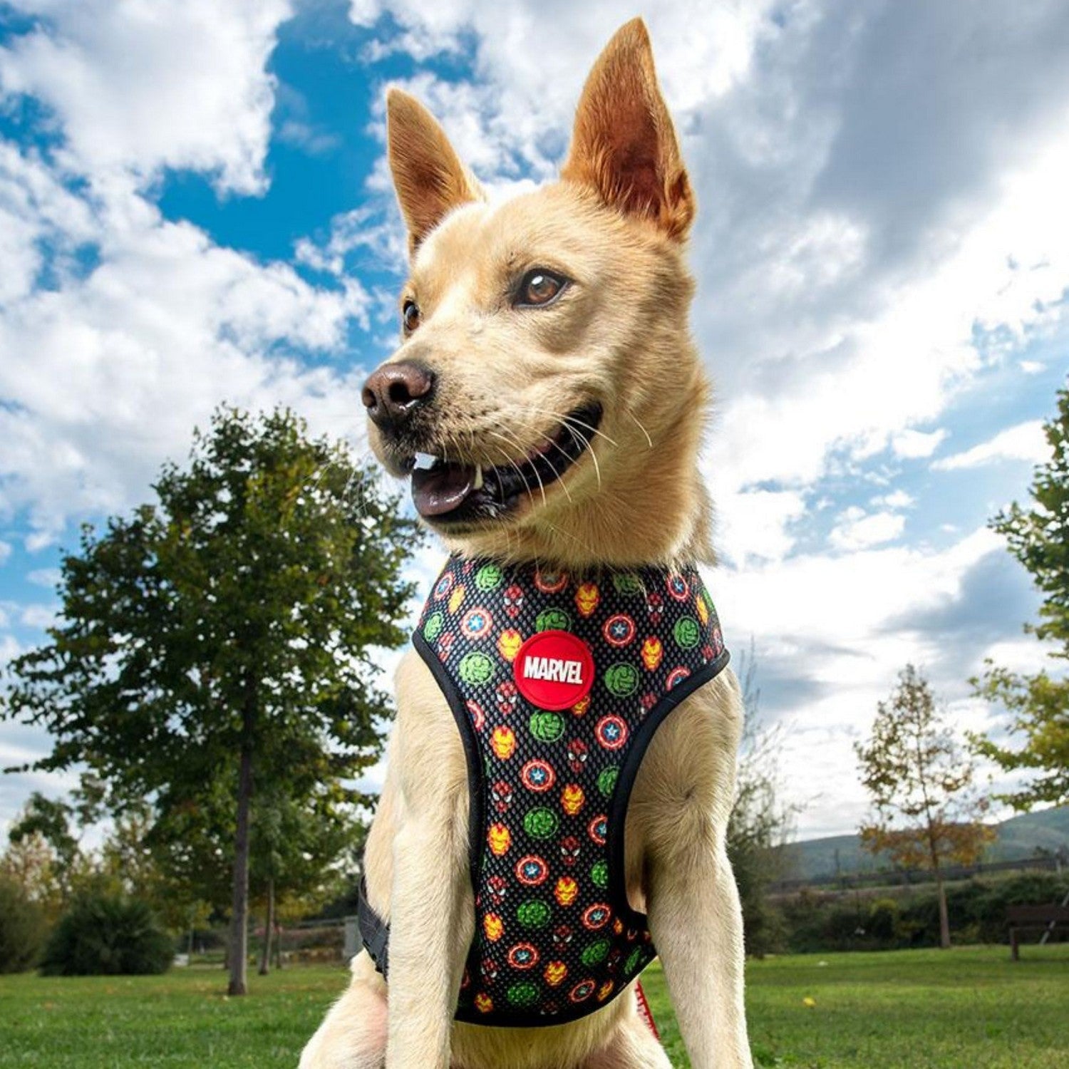 Marvel Dog Harness Xs/S 2800000854
