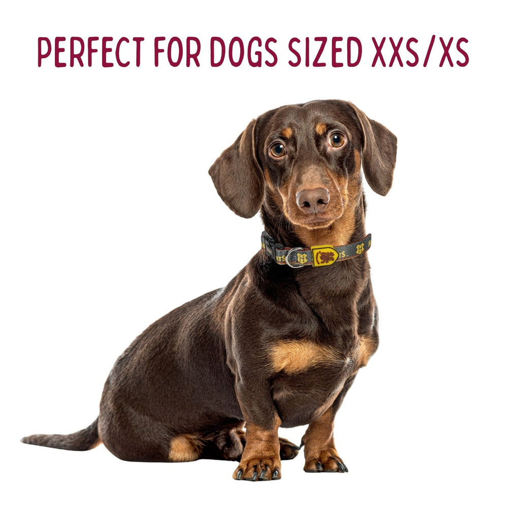 Harry Potter Dogs Collar Xxs/Xs Gryffindor Orange 2800001125