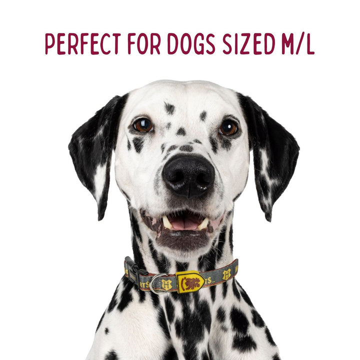 Harry Potter Dogs Collar M/L Gryffindor Orange 2800001128