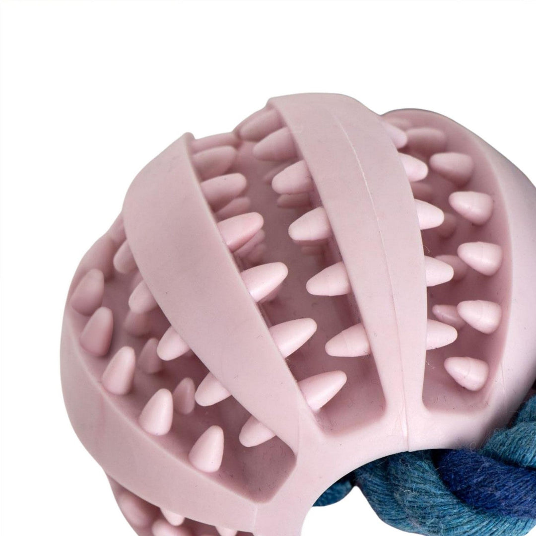 Disney Dog Toys Rope Stitch 2800001520