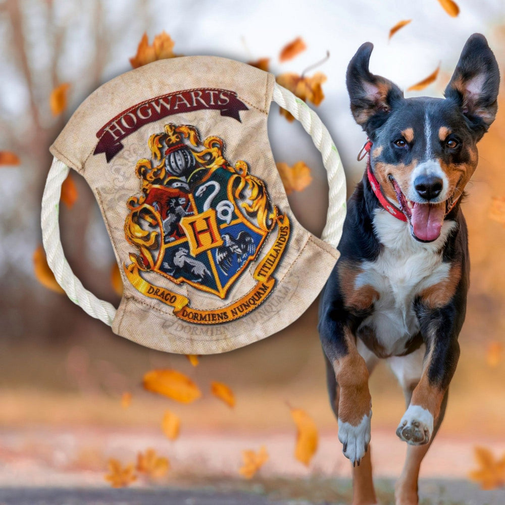 Harry Potter Frebee For Dogs Rope Orange 2800001541