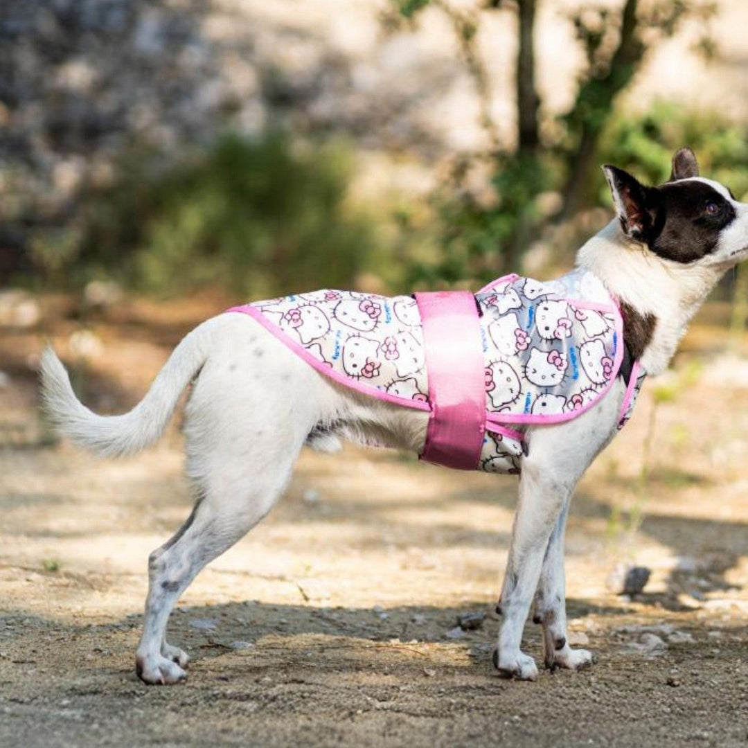 Hello Kitty & Friends Raincoat For Dogs Adjustable Hk 2800001802
