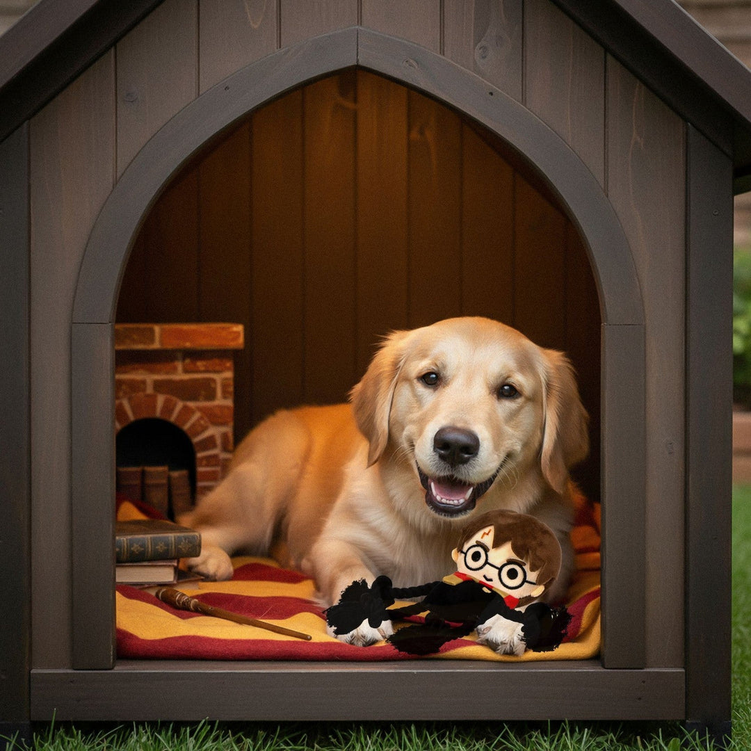 Harry Potter Dog Toys Wire Orange 2800001816