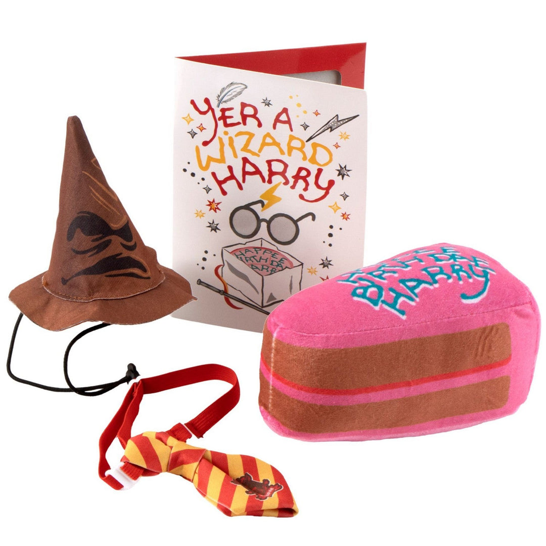 Harry Potter 4 Pcs Birthday Pet Red Set 2800001991