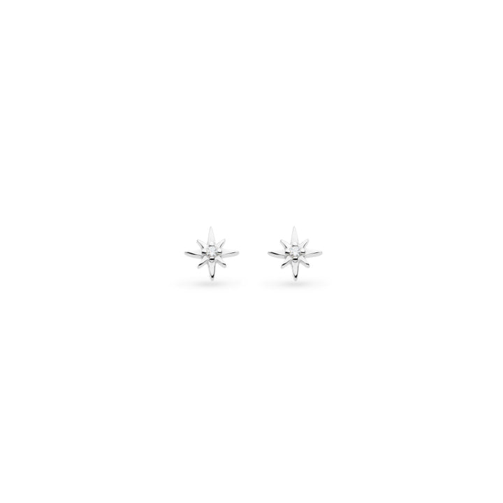 Star-shaped earrings on a white background