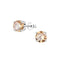 Dew 6mm Champagne CZ Four Claw Set Stud Earrings