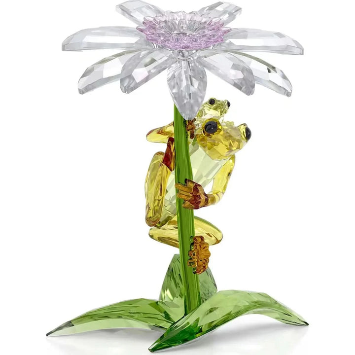 Idyllia Frogs and Flower 5670892
