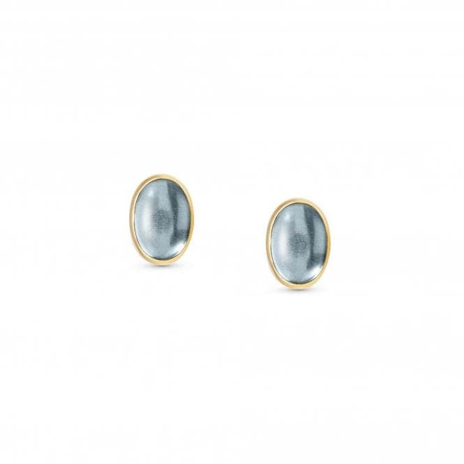 750 Gold Oval Stones Light Blue Topaz Earrings 027840/025Nominations027840/025