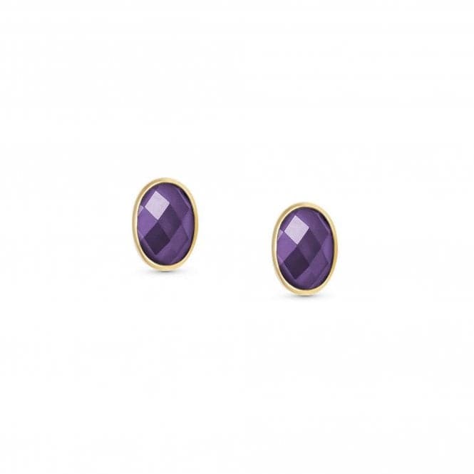 750 Gold Oval Zircons Purple Earrings 027841/001Nominations027841/001