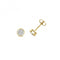 9ct Gold Diamond Studs DE153Diamond JewelleryDE153