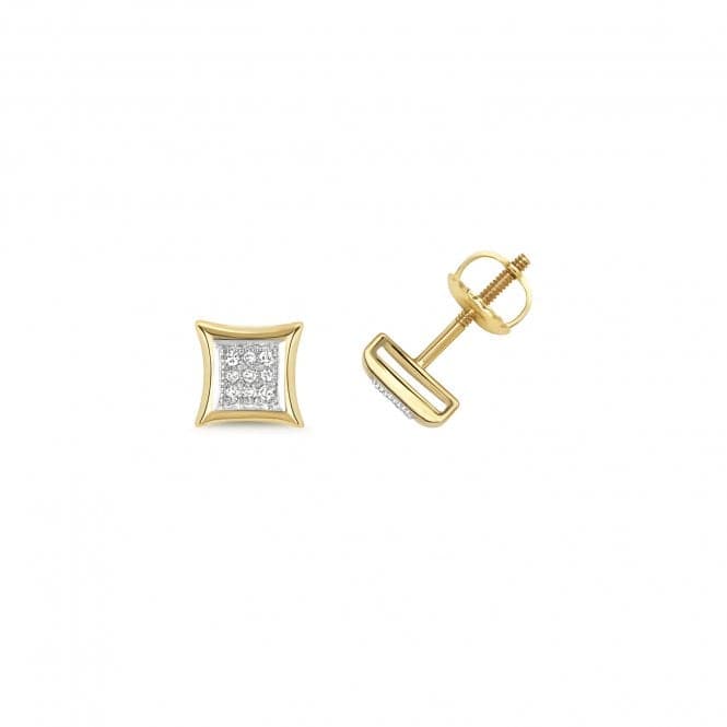 9ct Gold Diamond Studs ED126Diamond JewelleryED126