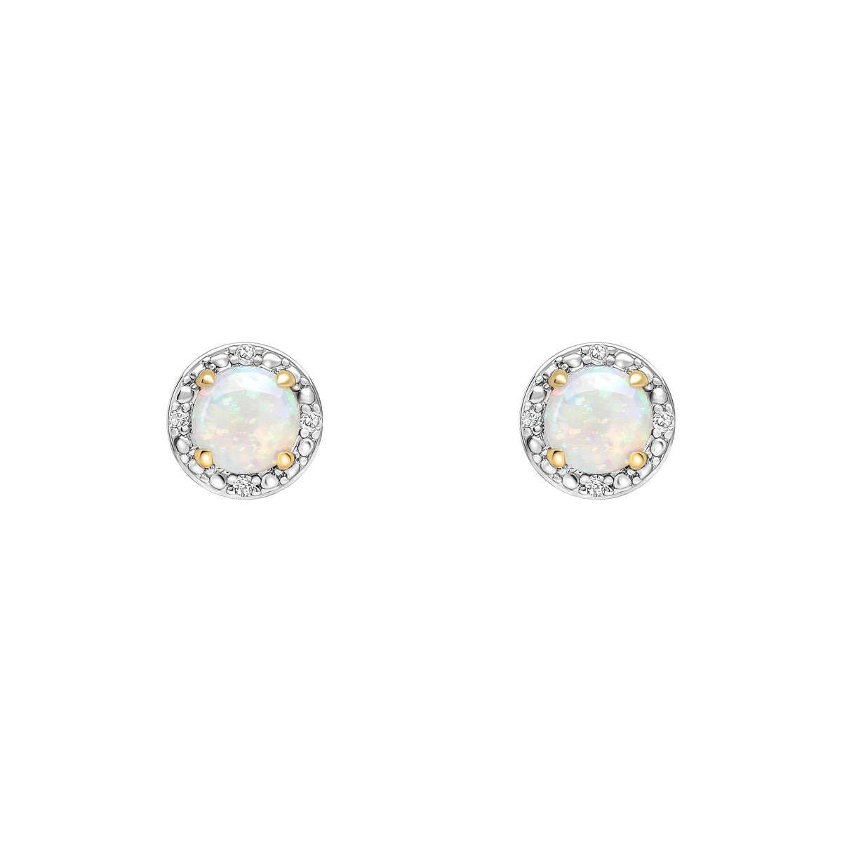 9ct Gold Rhodium Plated Opal Earrings GE2487WElements GoldGE2487W
