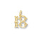 9ct Yellow Gold 18Th Birthday Old English Pendant PN403Acotis Gold JewelleryPN403
