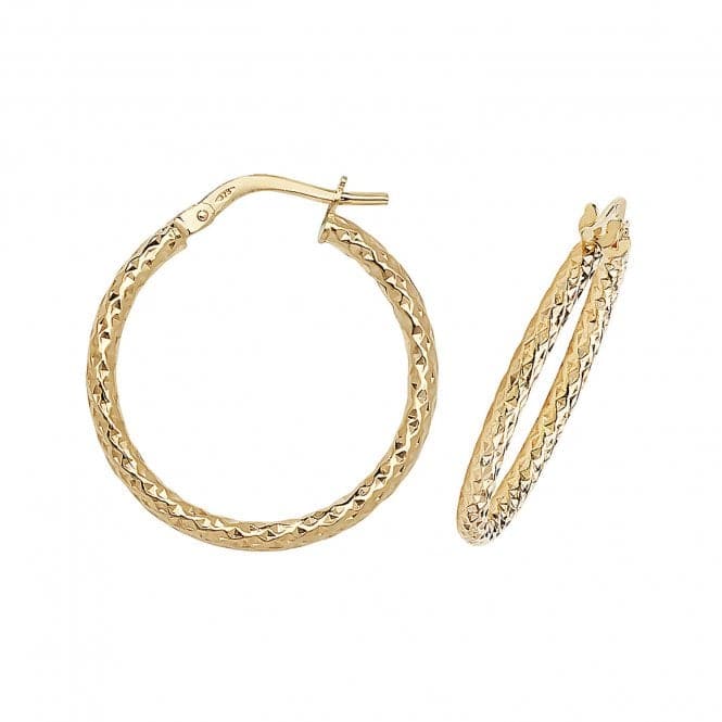 9ct Yellow Gold 30mm Dc Hoop Earrings ER951Acotis Gold JewelleryER951 - 20