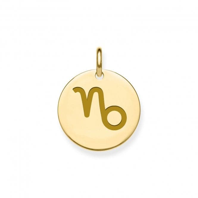 9ct Yellow Gold Capricorn Zodiac Pendant PN1300Acotis Gold JewelleryPN1300