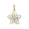 9ct Yellow Gold Daisy Zirconia Pendant PN1011Acotis Gold JewelleryPN1011