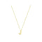 9ct Yellow Gold Initial Necklace NK435/JAcotis Gold JewelleryNK435/J