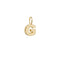 9ct Yellow Gold Initial Pendant PN1070/GAcotis Gold JewelleryPN1070/G