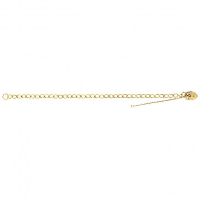 9ct Yellow Gold Ladies 7 Inches Charm Bracelet BR102Acotis Gold JewelleryBR102