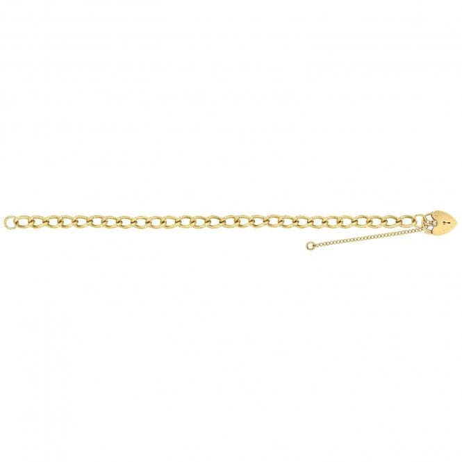 9ct Yellow Gold Ladies 7.5 Inches Charm Bracelet BR106Acotis Gold JewelleryBR106