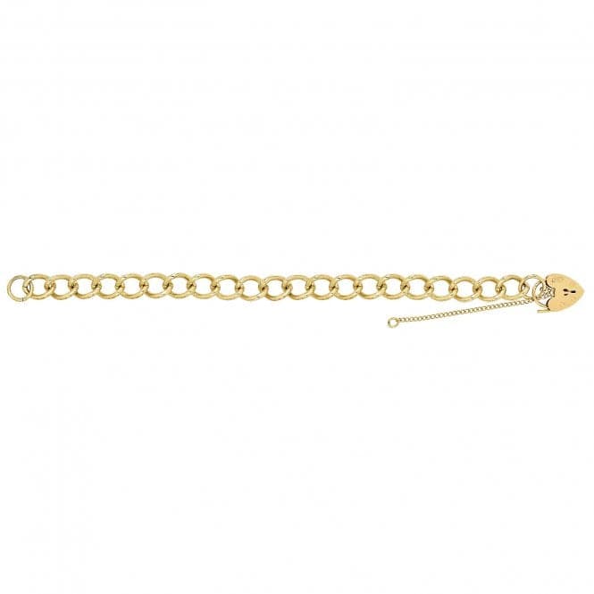 9ct Yellow Gold Ladies 8 Inches Charm Bracelet BR108Acotis Gold JewelleryBR108