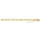 9ct Yellow Gold Ladies 8 Inches Charm Bracelet BR108Acotis Gold JewelleryBR108