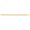 9ct Yellow Gold Ladies Pow Hollow Chain BR229Acotis Gold JewelleryBR229/07