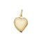 9ct Yellow Gold Large Heart Pendant PN254Acotis Gold JewelleryPN254