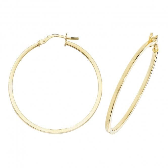 9ct Yellow Gold Oval Hoop Earrings ER1007Acotis Gold JewelleryER1007 - 30