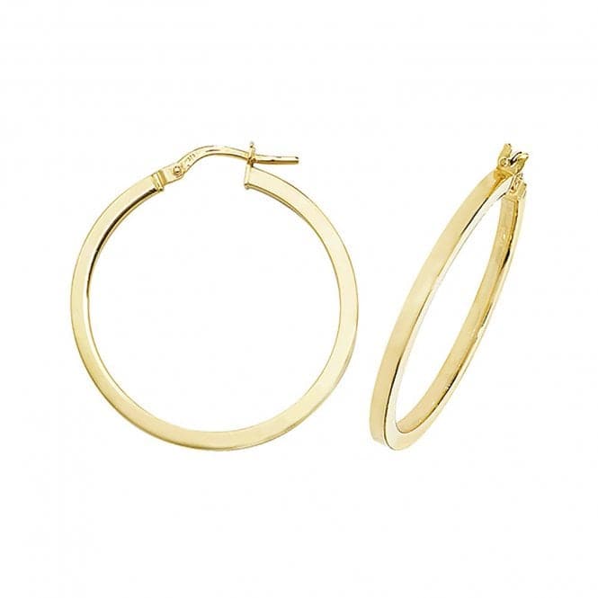 9ct Yellow Gold Oval Hoop Earrings ER947Acotis Gold JewelleryER947 - 25