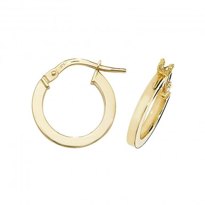 9ct Yellow Gold Oval Hoop Earrings ER947Acotis Gold JewelleryER947 - 10