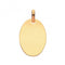 9ct Yellow Gold Oval Plain Pendant PN1074Acotis Gold JewelleryPN1074