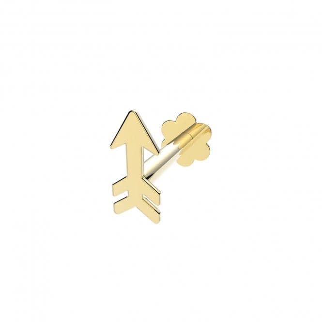 9ct Yellow Gold Plain Arrow Cartilage Labret ES2040Acotis Gold JewelleryES2040