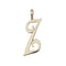9ct Yellow Gold Polished Script Initial Pendant PN528/ZAcotis Gold JewelleryPN528/Z