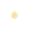 9ct Yellow Gold Round Initial Pendant PN923/JAcotis Gold JewelleryPN923/J