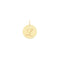 9ct Yellow Gold Round Initial Pendant PN923/LAcotis Gold JewelleryPN923/L