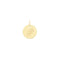 9ct Yellow Gold Round Initial Pendant PN923/PAcotis Gold JewelleryPN923/P