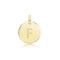 9ct Yellow Gold Round Plain Initial Pendant PN1280/FAcotis Gold JewelleryPN1280/F