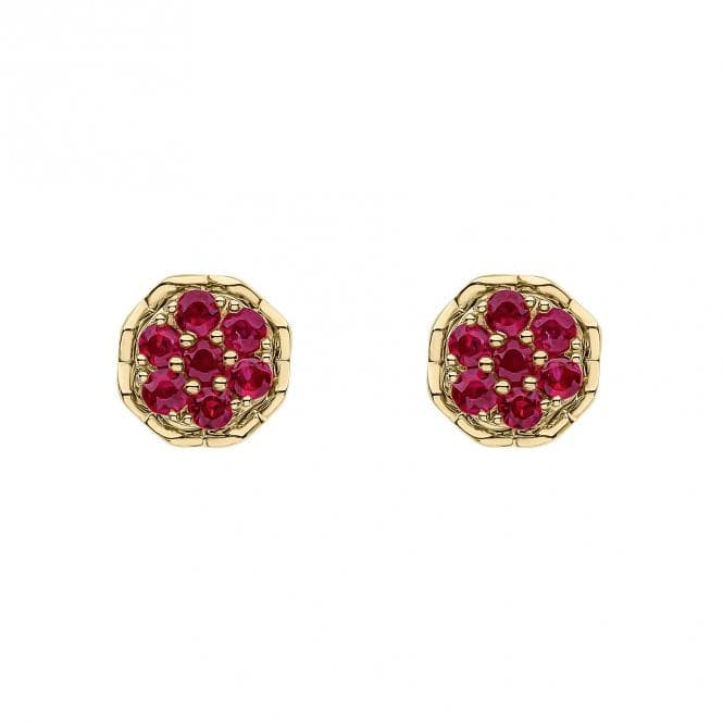 9ct Yellow Gold Ruby Earrings GE2462RElements GoldGE2462R