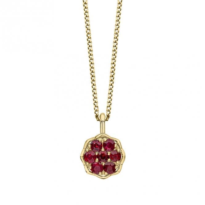 9ct Yellow Gold Ruby Pendant GP2351RElements GoldGP2351R