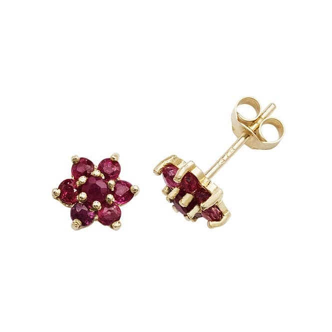 9ct Yellow Gold Ruby Stud Earrings ES544RBAcotis Gold JewelleryES544RB