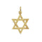 9ct Yellow Gold Star Of David Pendant PN665Acotis Gold JewelleryPN665
