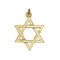 9ct Yellow Gold Star Of David Pendant PN669Acotis Gold JewelleryPN669