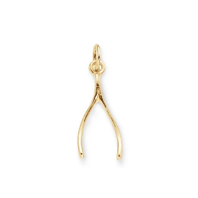 9ct Yellow Gold Wishbone Pendant PN484Acotis Gold JewelleryPN484