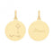 9ct Yellow Gold Zodiac Constellation Pisces PN1232Acotis Gold JewelleryPN1232