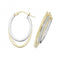 9ct Yellow & White Gold Oval Dbl Hoop Earrings ER1013Acotis Gold JewelleryER1013